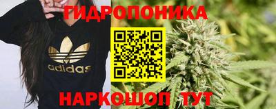 гидропоника Коммунар