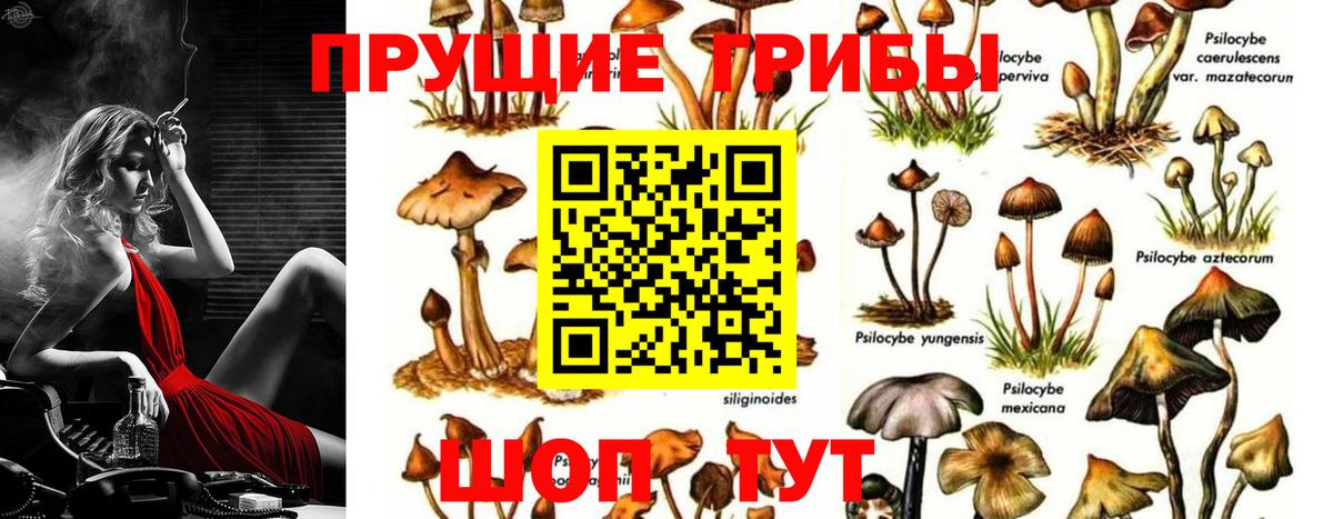 Псилоцибиновые грибы GOLDEN TEACHER  Вход с VPN  Нефтеюганск 